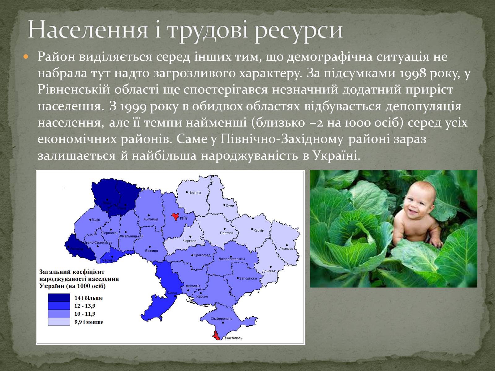 Презентація на тему «Північно-західний економічний район» - Слайд #5 Презентація на тему «Північно-західний економічний район» - Слайд #5