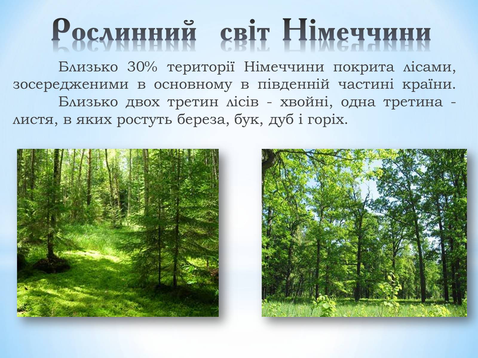 Презентація на тему «Федеративна республіка Німеччина» (варіант 1) - Слайд #10 Презентація на тему «Федеративна республіка Німеччина» (варіант 1) - Слайд #10