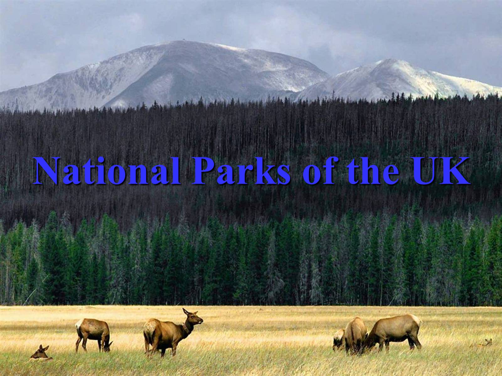 Презентація на тему «National Parks of the UK» - Слайд #1 Презентація на тему «National Parks of the UK» - Слайд #1