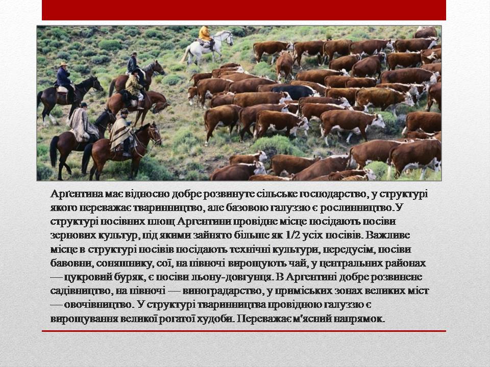 Презентація на тему «Аргентина» (варіант 9) - Слайд #8 Презентація на тему «Аргентина» (варіант 9) - Слайд #8
