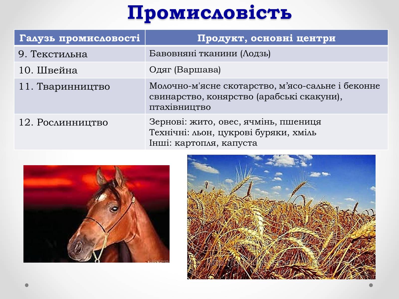 Презентація на тему «Республіка Польща» (варіант 4) - Слайд #15 Презентація на тему «Республіка Польща» (варіант 4) - Слайд #15