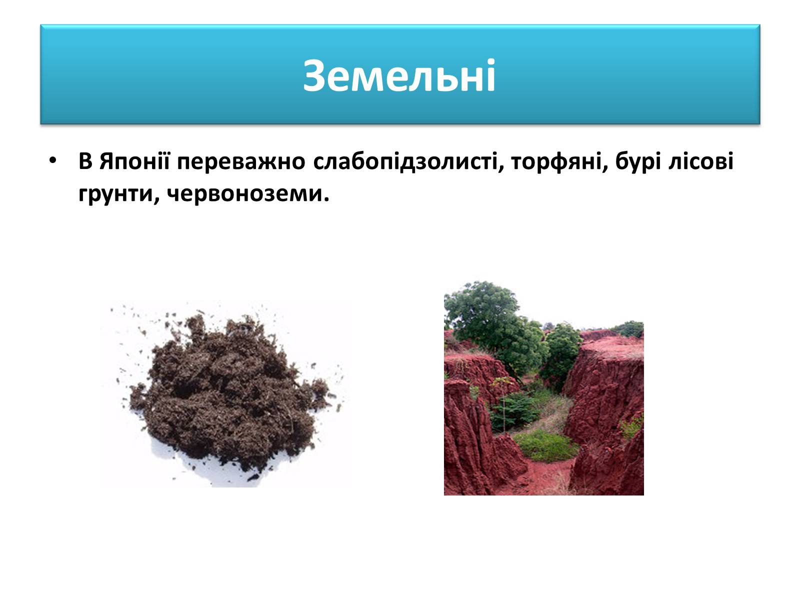 Презентація на тему «Японія» (варіант 34) - Слайд #10 Презентація на тему «Японія» (варіант 34) - Слайд #10