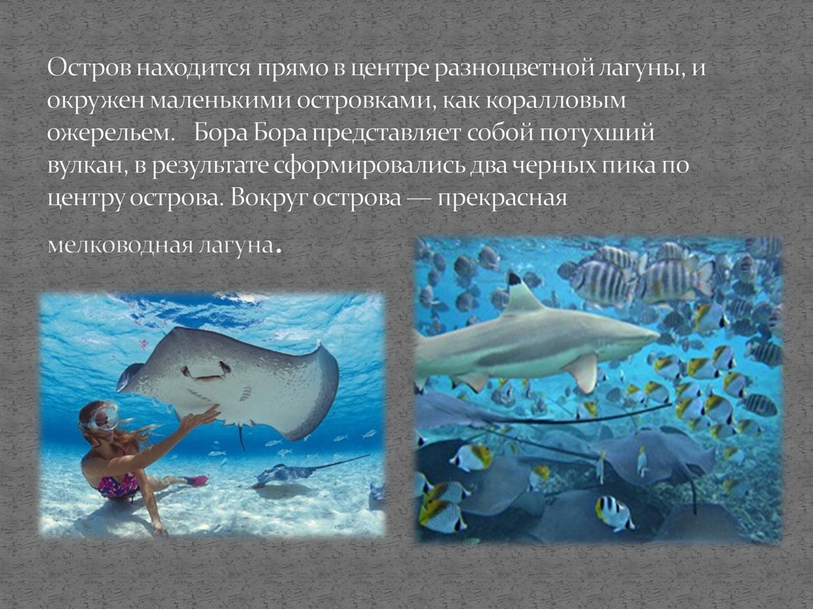 Презентація на тему «Страны мира» - Слайд #10 Презентація на тему «Страны мира» - Слайд #10