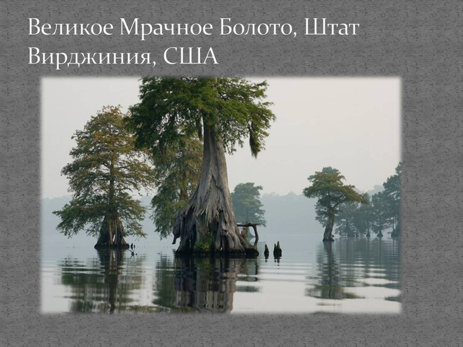 Презентація на тему «Страны мира» - Слайд #22 Презентація на тему «Страны мира» - Слайд #22
