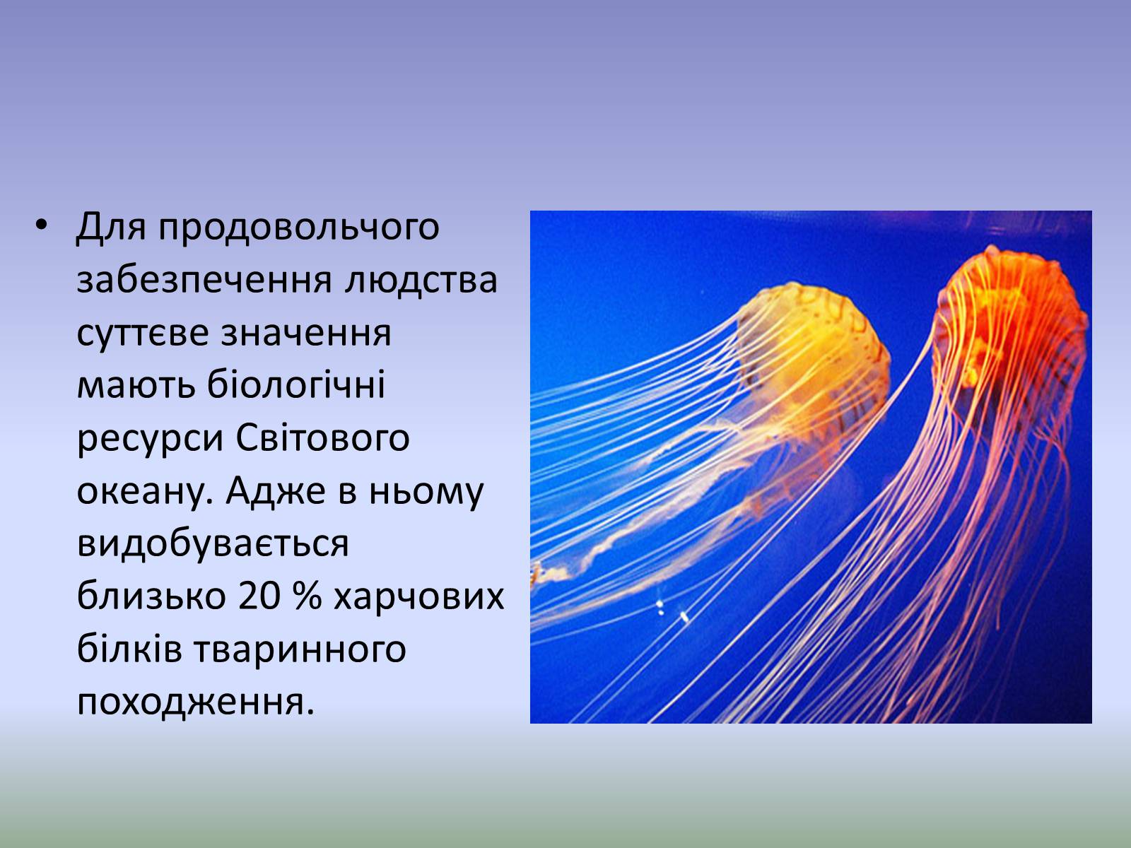 Презентація на тему «Глобальна проблема людства. Економічні проблеми» - Слайд #19 Презентація на тему «Глобальна проблема людства. Економічні проблеми» - Слайд #19