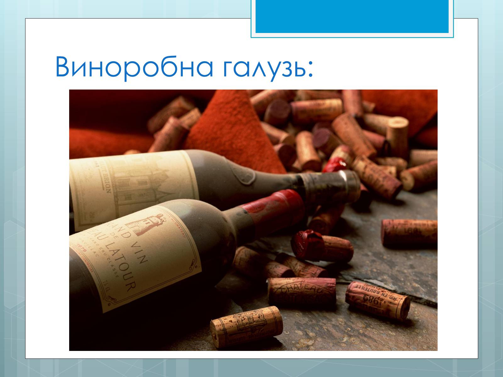 Презентація на тему «Дослідження закономірностей розміщення підприємств харчової промисловості України.» - Слайд #11 Презентація на тему «Дослідження закономірностей розміщення підприємств харчової промисловості України.» - Слайд #11