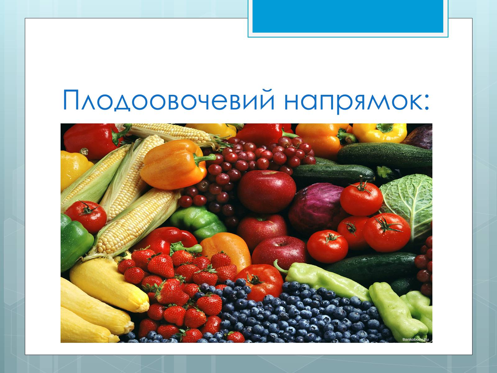 Презентація на тему «Дослідження закономірностей розміщення підприємств харчової промисловості України.» - Слайд #17 Презентація на тему «Дослідження закономірностей розміщення підприємств харчової промисловості України.» - Слайд #17