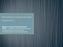 Презентація на тему «Паливно-енергетичний комплекс» (варіант 1)