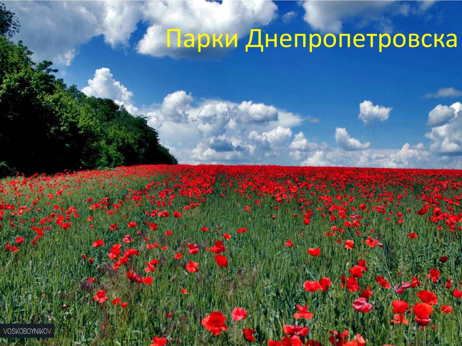 Презентація на тему «Парки Днепропетровска» - Слайд #1 Презентація на тему «Парки Днепропетровска» - Слайд #1