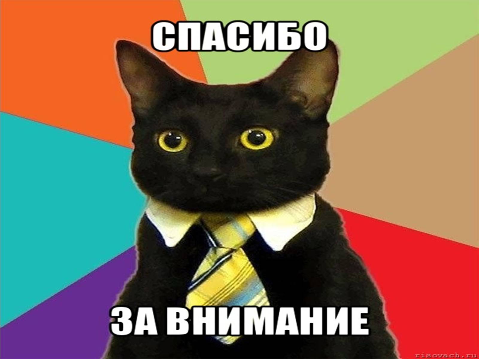 Презентація на тему «Парки Днепропетровска» - Слайд #21 Презентація на тему «Парки Днепропетровска» - Слайд #21