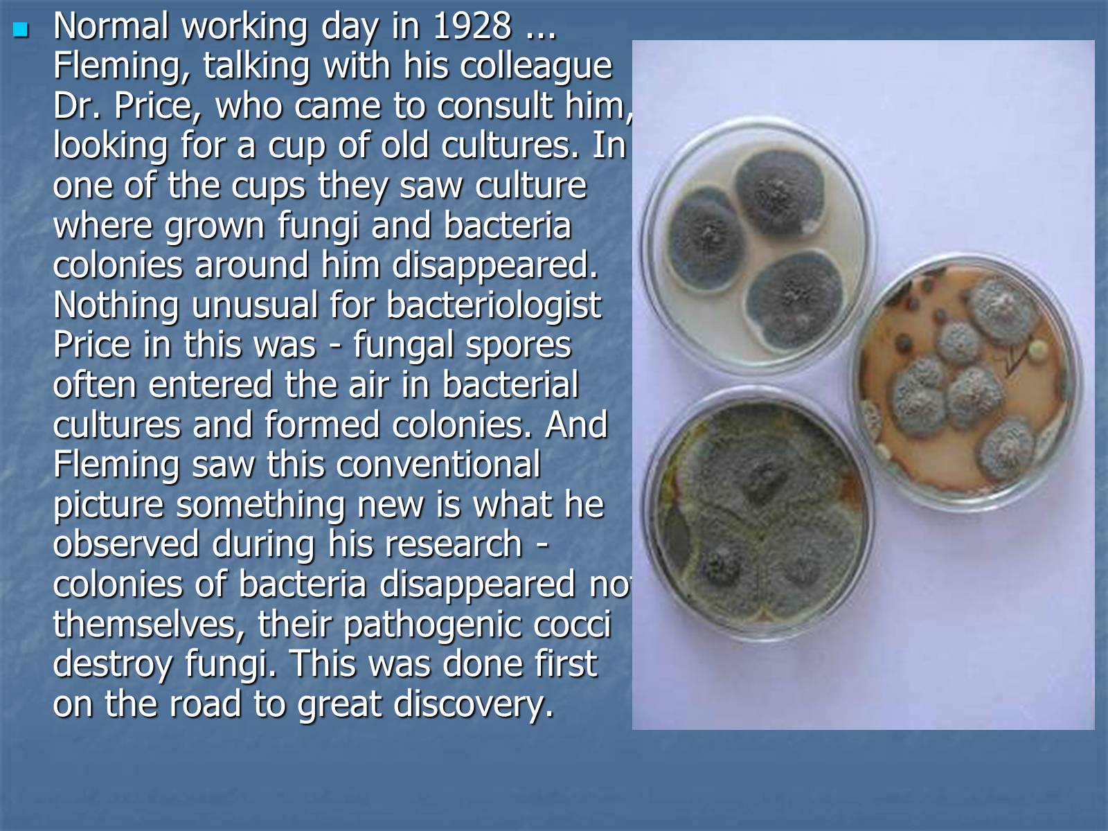 Презентація на тему «Alexander Fleming» (варіант 2) - Слайд #6 Презентація на тему «Alexander Fleming» (варіант 2) - Слайд #6