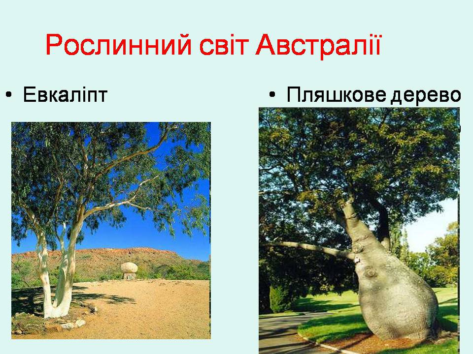 Презентація на тему «Австралія» (варіант 23) - Слайд #16 Презентація на тему «Австралія» (варіант 23) - Слайд #16