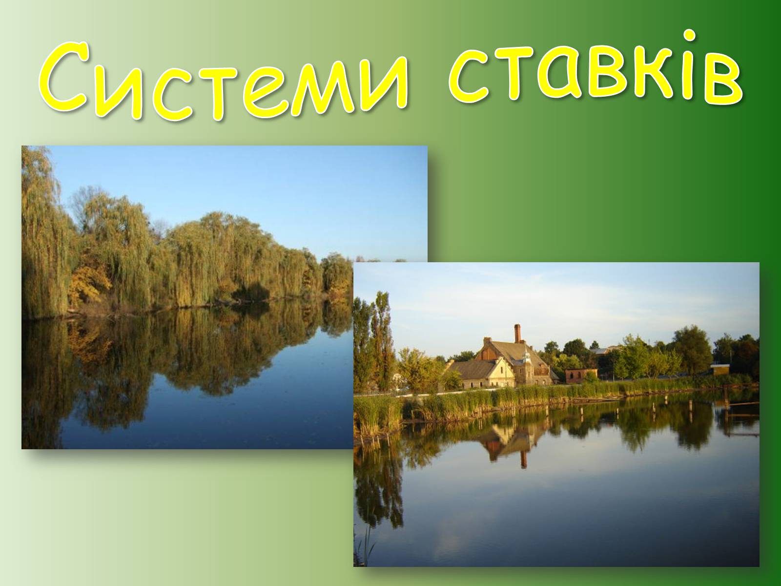 Презентація на тему «Немирівський комплекс» - Слайд #13 Презентація на тему «Немирівський комплекс» - Слайд #13