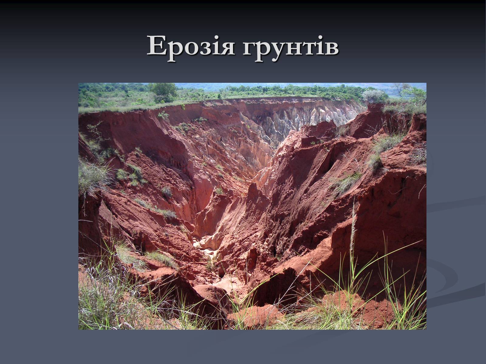 Презентація на тему «Екологічні проблеми сучасності» - Слайд #21 Презентація на тему «Екологічні проблеми сучасності» - Слайд #21