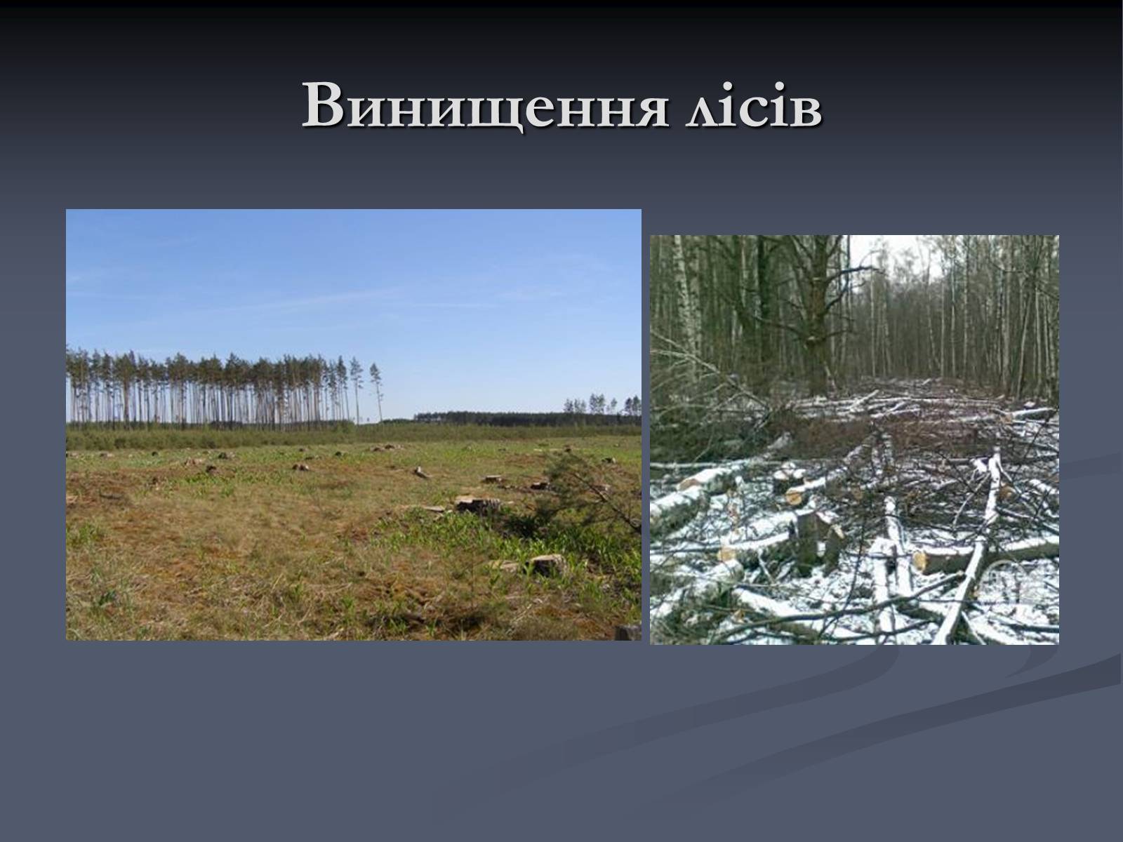 Презентація на тему «Екологічні проблеми сучасності» - Слайд #24 Презентація на тему «Екологічні проблеми сучасності» - Слайд #24
