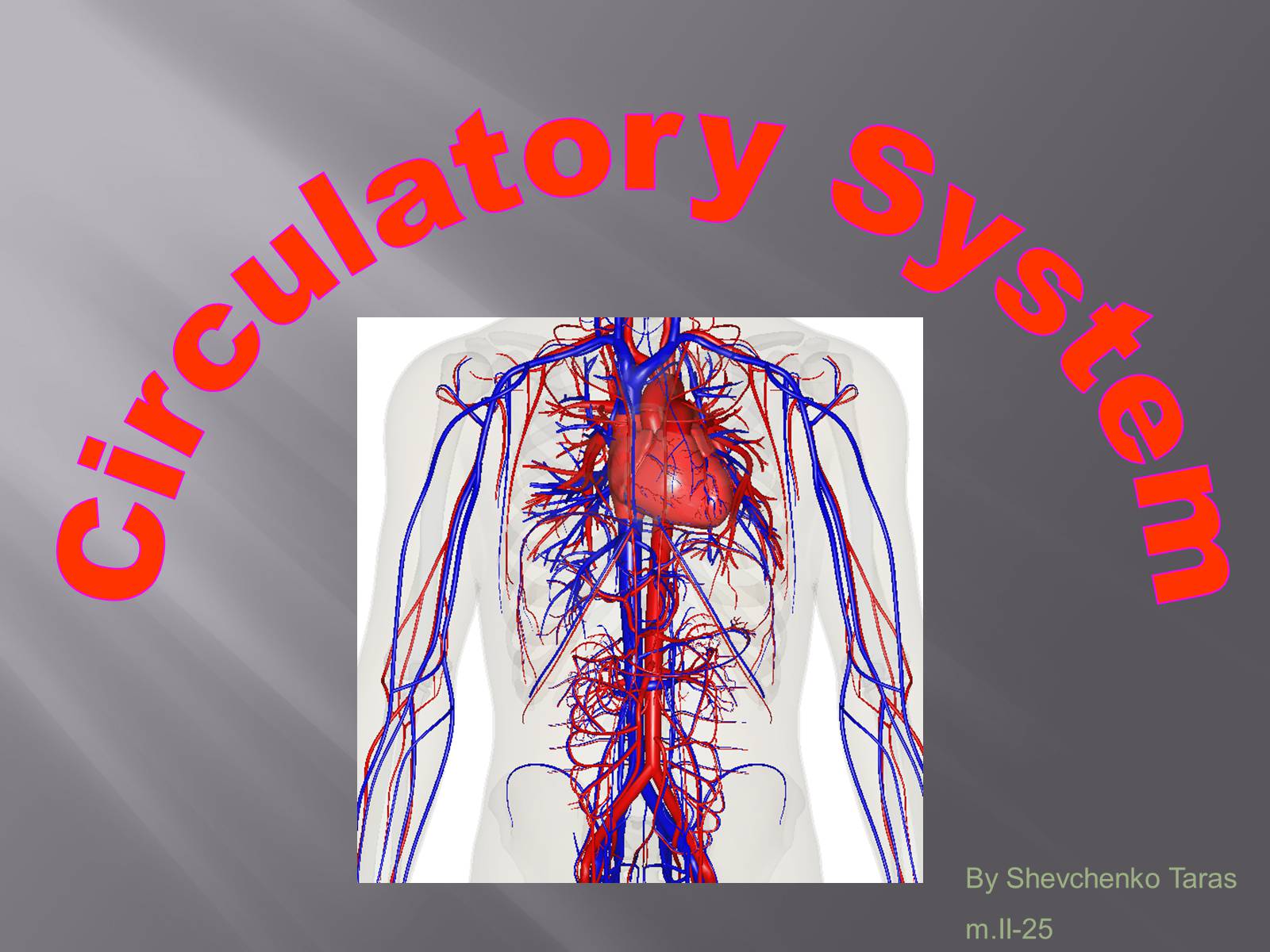 Презентація на тему «Circulatory System» - Слайд #1 Презентація на тему «Circulatory System» - Слайд #1