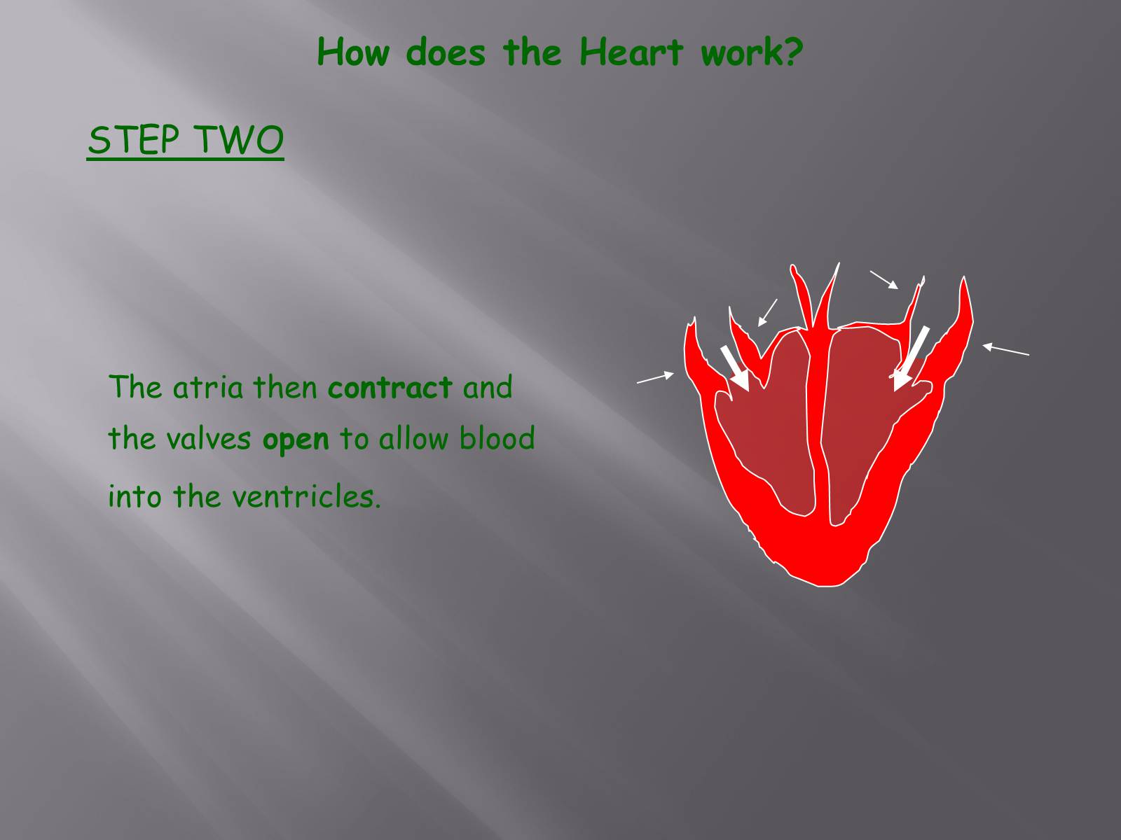 Презентація на тему «Circulatory System» - Слайд #9 Презентація на тему «Circulatory System» - Слайд #9