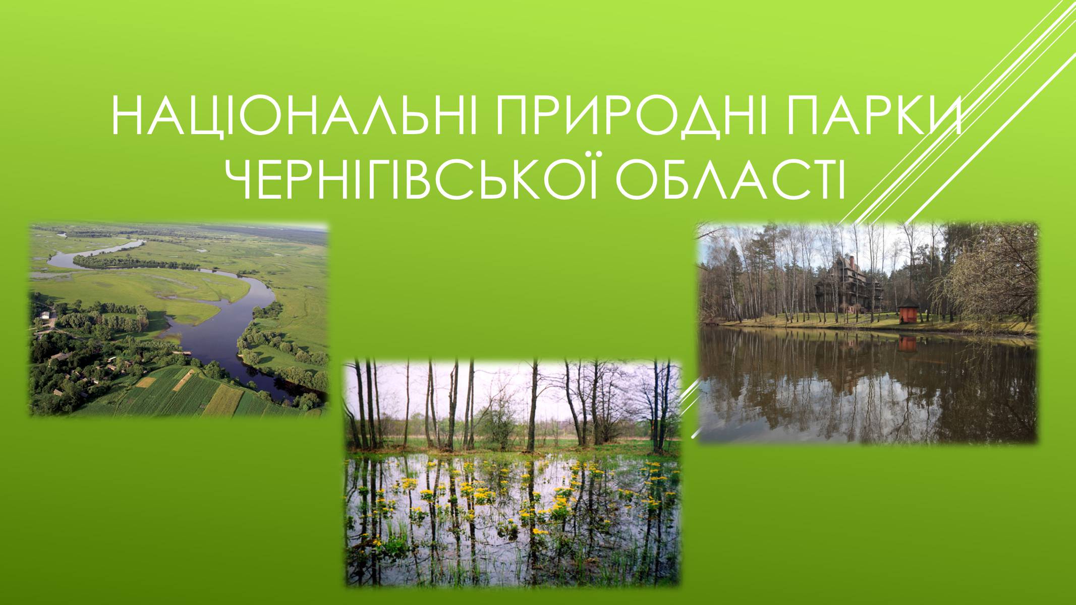 Презентація на тему «Національні Природні парки Чернігівської області» - Слайд #1 Презентація на тему «Національні Природні парки Чернігівської області» - Слайд #1