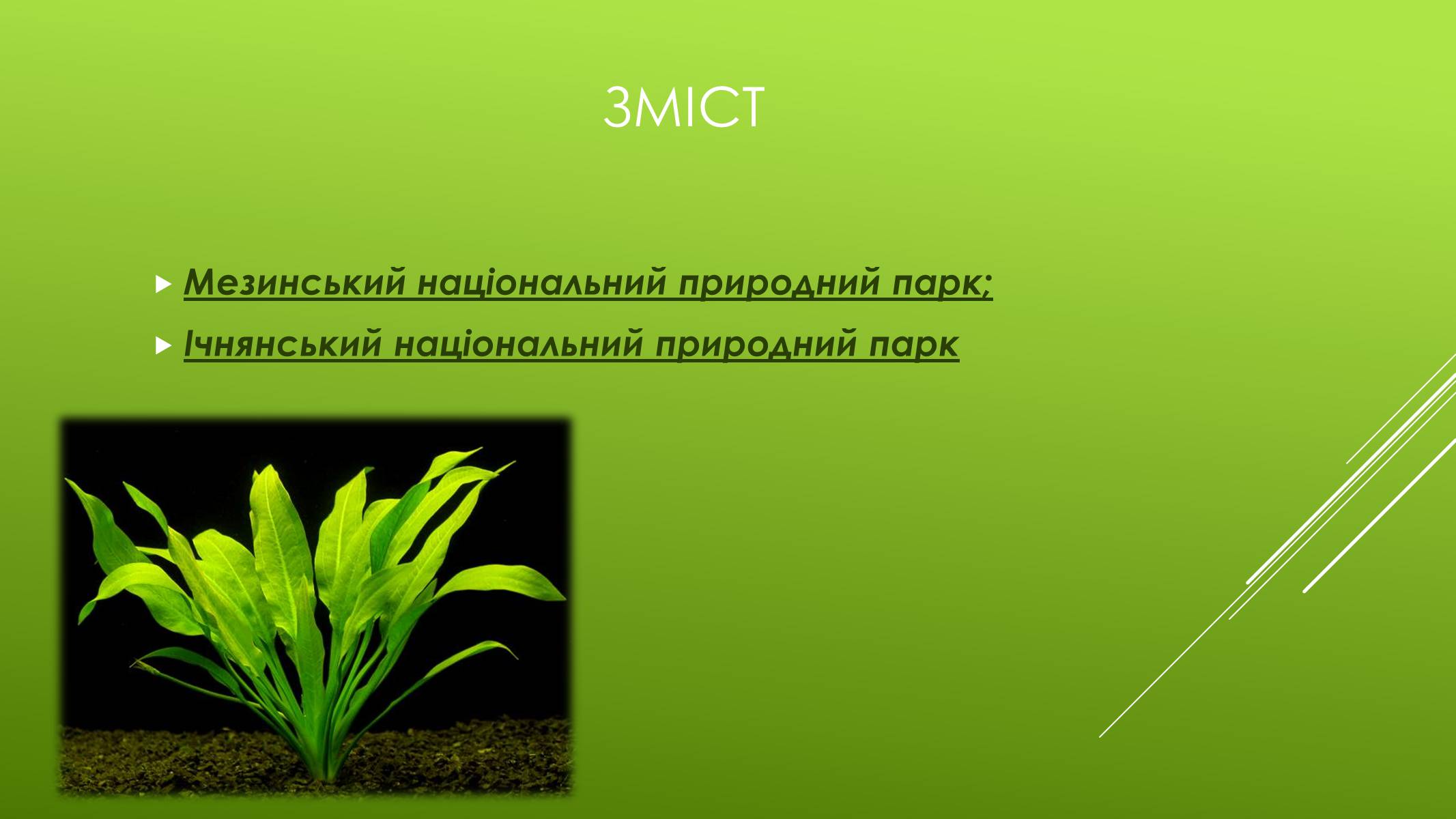 Презентація на тему «Національні Природні парки Чернігівської області» - Слайд #2 Презентація на тему «Національні Природні парки Чернігівської області» - Слайд #2