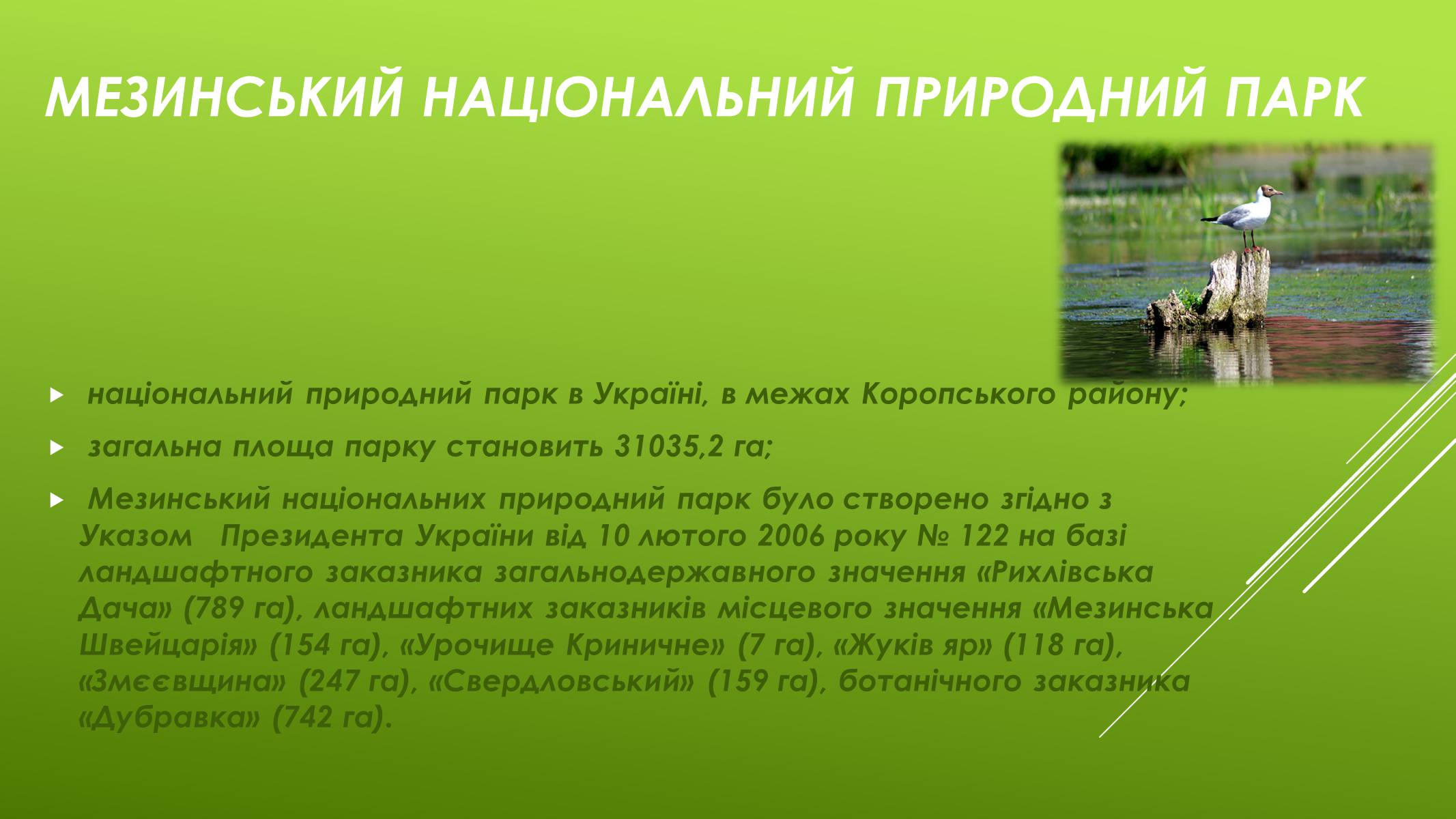 Презентація на тему «Національні Природні парки Чернігівської області» - Слайд #3 Презентація на тему «Національні Природні парки Чернігівської області» - Слайд #3