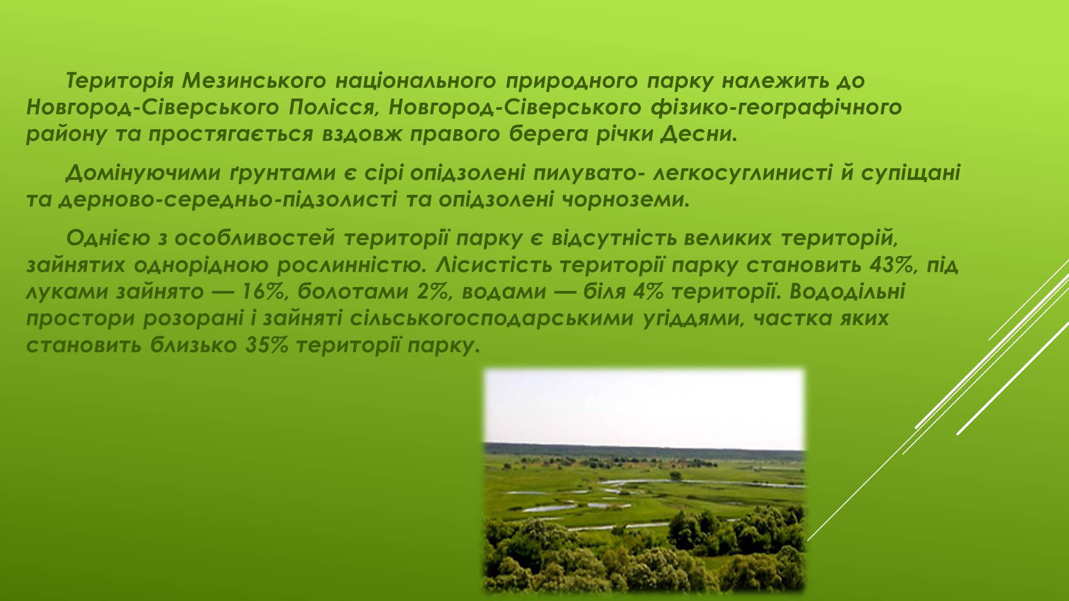 Презентація на тему «Національні Природні парки Чернігівської області» - Слайд #4 Презентація на тему «Національні Природні парки Чернігівської області» - Слайд #4
