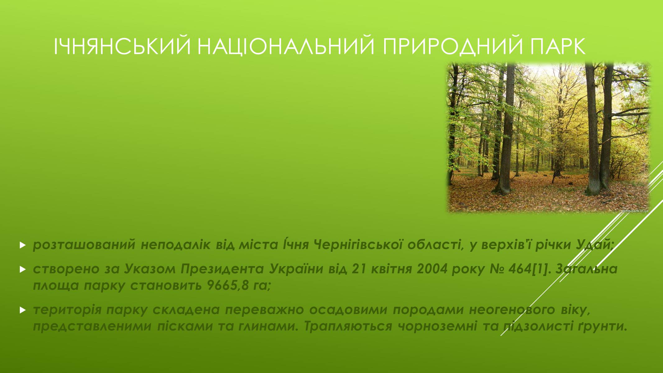 Презентація на тему «Національні Природні парки Чернігівської області» - Слайд #9 Презентація на тему «Національні Природні парки Чернігівської області» - Слайд #9