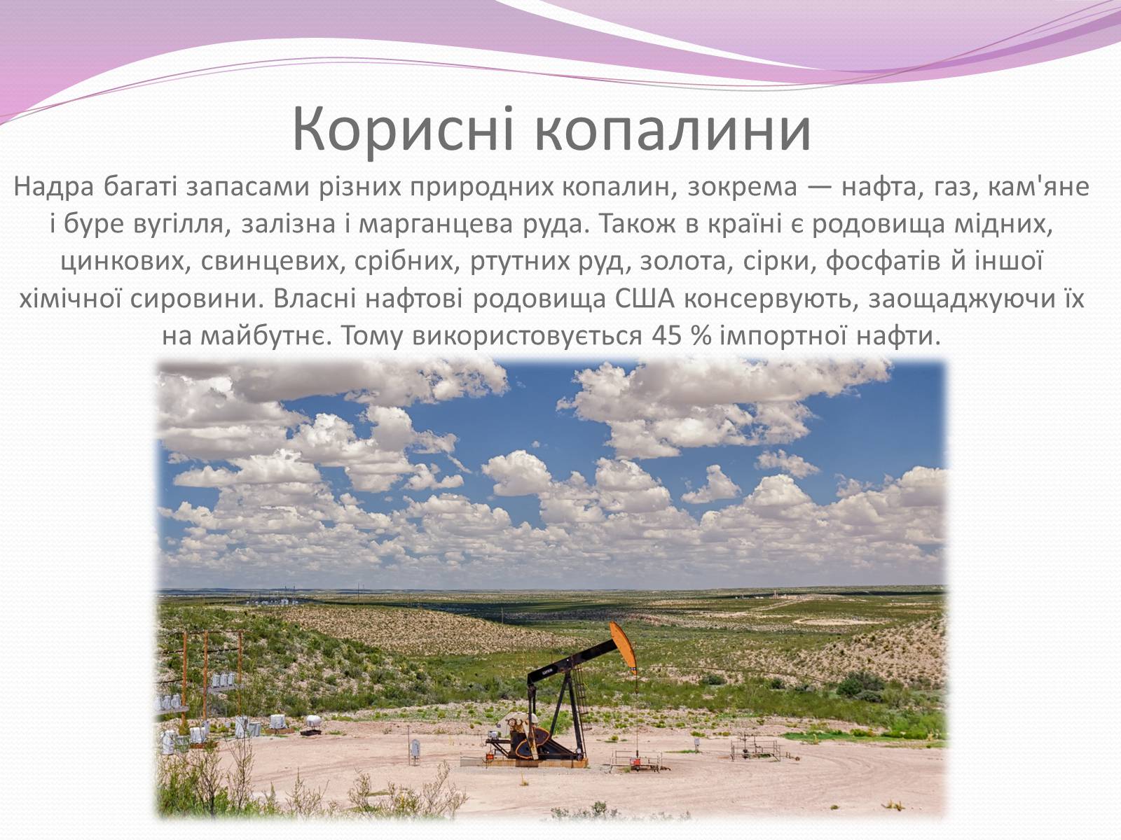 Презентація на тему «Сполучені Штати Америки» (варіант 8) - Слайд #14 Презентація на тему «Сполучені Штати Америки» (варіант 8) - Слайд #14