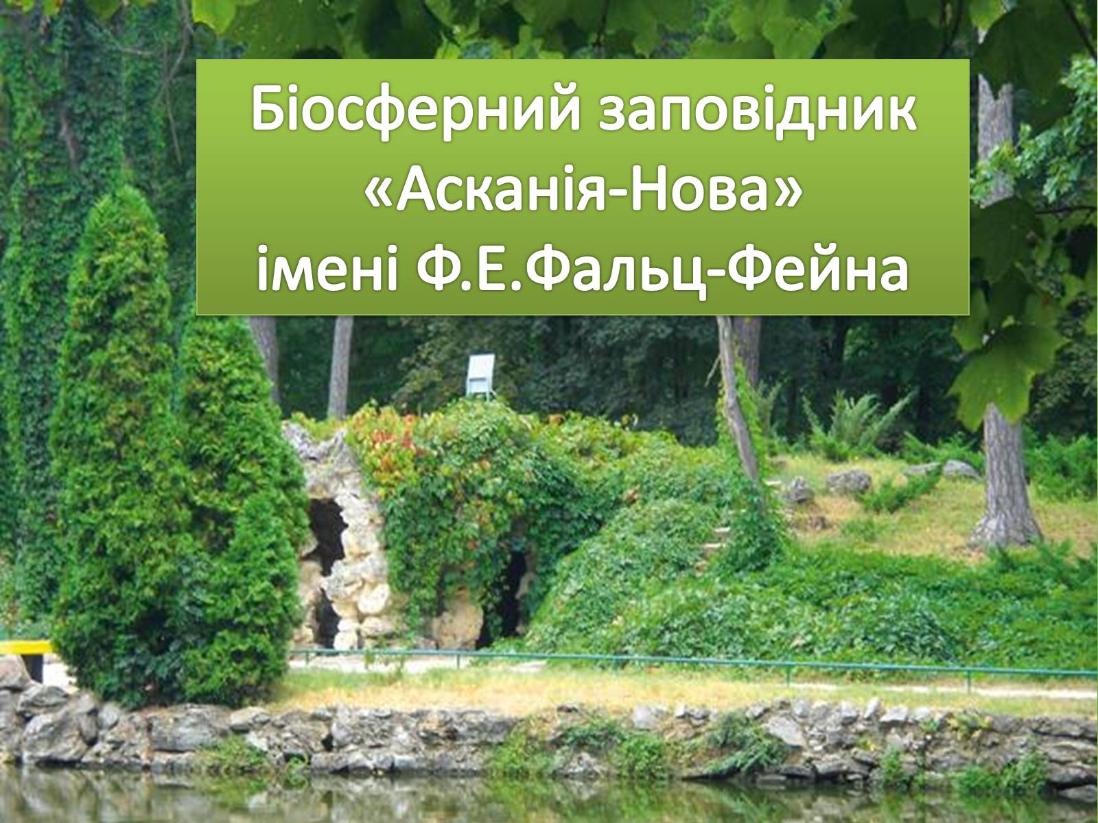 Презентація на тему «Біосферний заповідник «Асканія-Нова» імені Ф.Е.Фальц-Фейна» - Слайд #1 Презентація на тему «Біосферний заповідник «Асканія-Нова» імені Ф.Е.Фальц-Фейна» - Слайд #1