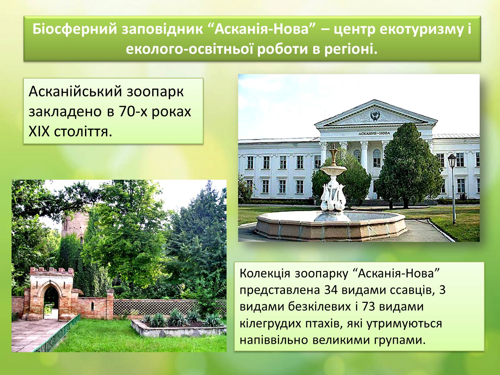 Презентація на тему «Біосферний заповідник «Асканія-Нова» імені Ф.Е.Фальц-Фейна» - Слайд #13 Презентація на тему «Біосферний заповідник «Асканія-Нова» імені Ф.Е.Фальц-Фейна» - Слайд #13