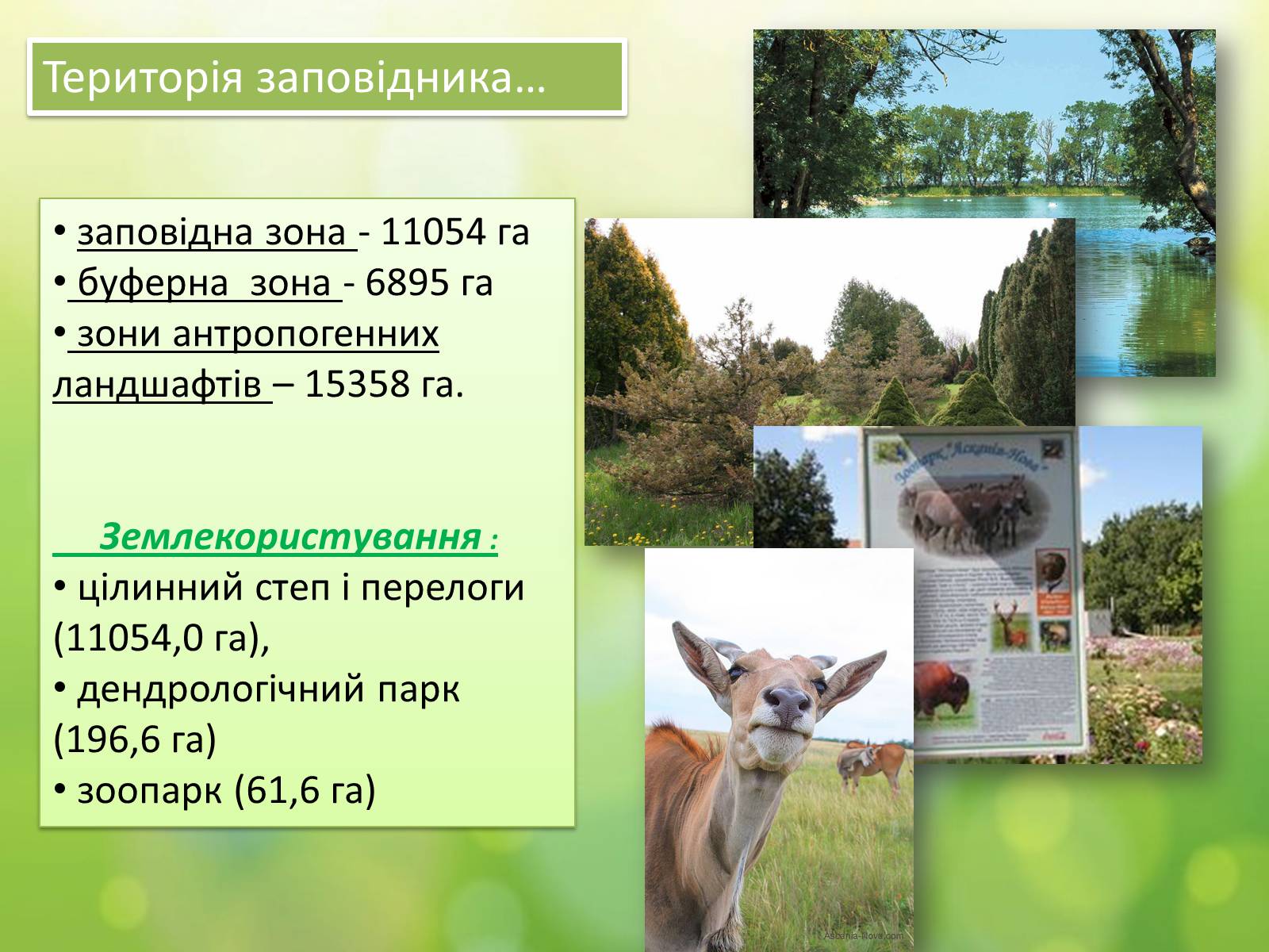 Презентація на тему «Біосферний заповідник «Асканія-Нова» імені Ф.Е.Фальц-Фейна» - Слайд #4 Презентація на тему «Біосферний заповідник «Асканія-Нова» імені Ф.Е.Фальц-Фейна» - Слайд #4