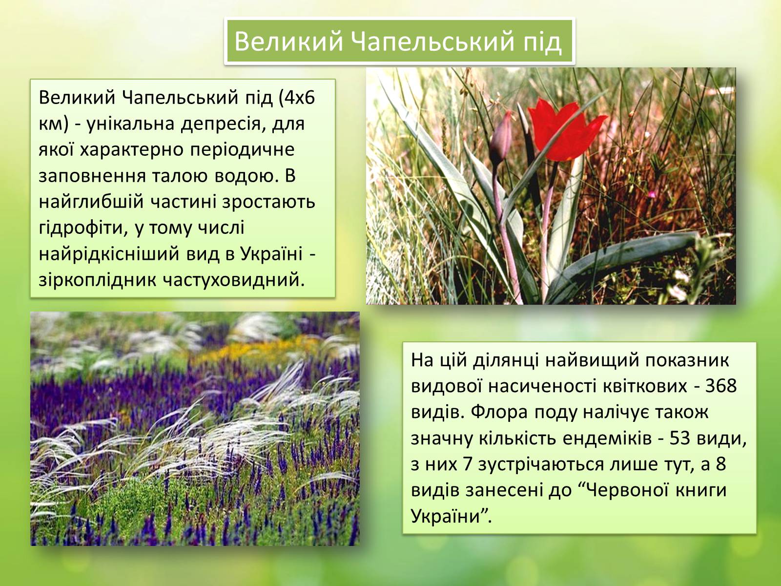 Презентація на тему «Біосферний заповідник «Асканія-Нова» імені Ф.Е.Фальц-Фейна» - Слайд #8 Презентація на тему «Біосферний заповідник «Асканія-Нова» імені Ф.Е.Фальц-Фейна» - Слайд #8