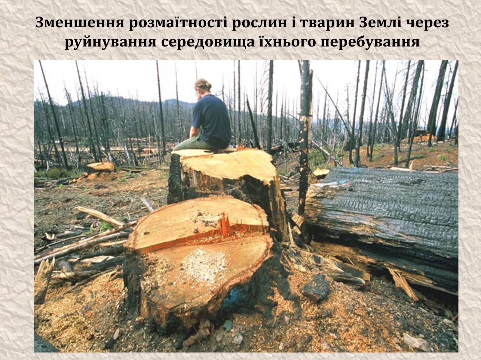 Презентація на тему «Екологічні проблеми людства» (варіант 4) - Слайд #5 Презентація на тему «Екологічні проблеми людства» (варіант 4) - Слайд #5