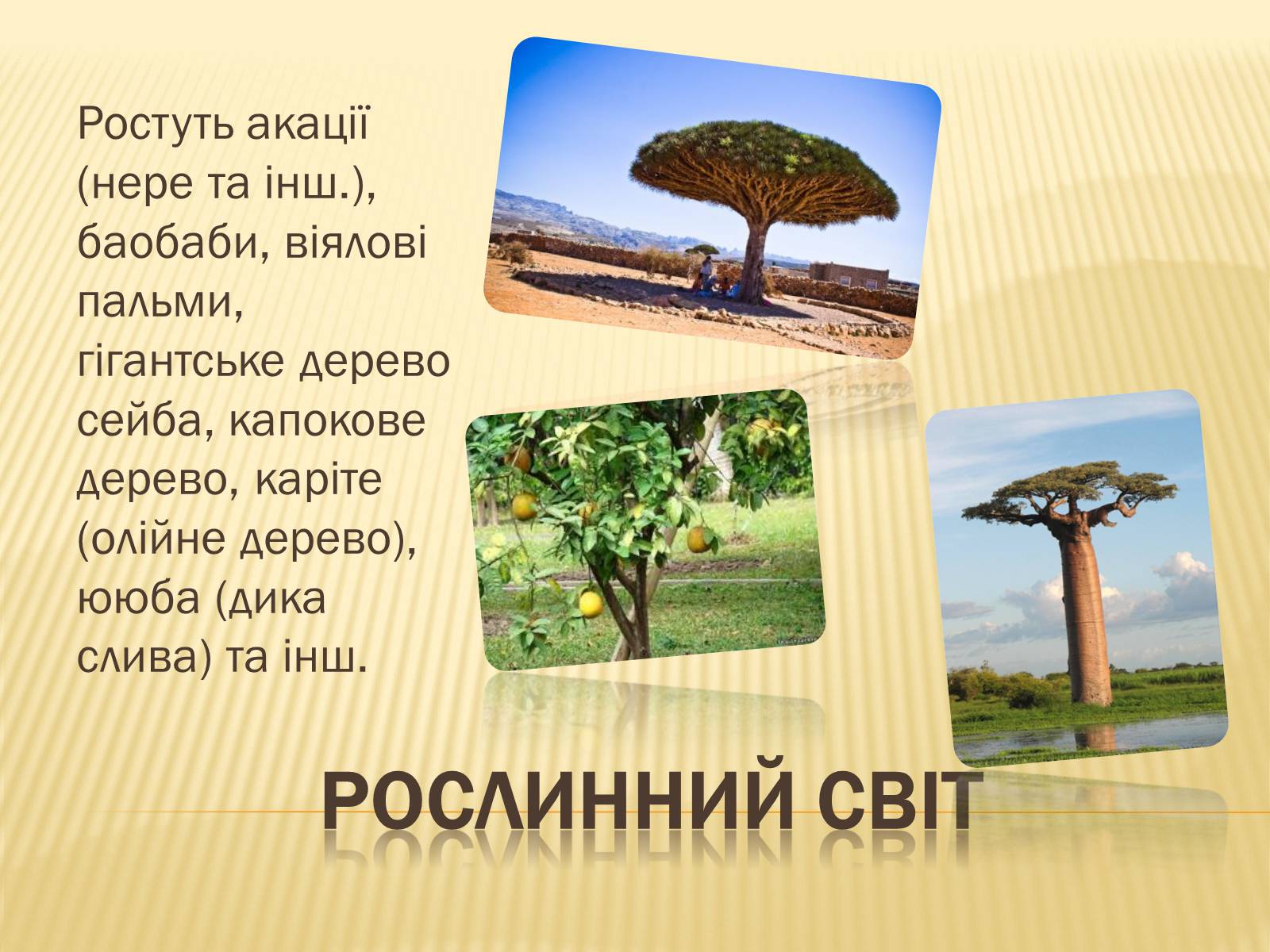 Презентація на тему «Малі» - Слайд #7 Презентація на тему «Малі» - Слайд #7