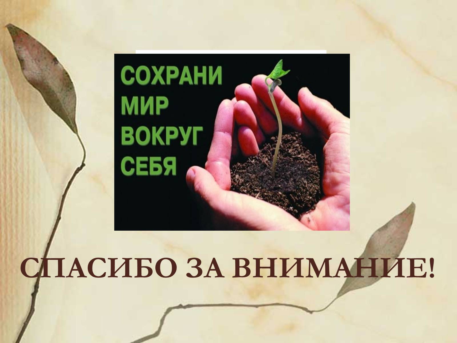 Презентація на тему «Сохраним атмосферу Земли» - Слайд #13 Презентація на тему «Сохраним атмосферу Земли» - Слайд #13
