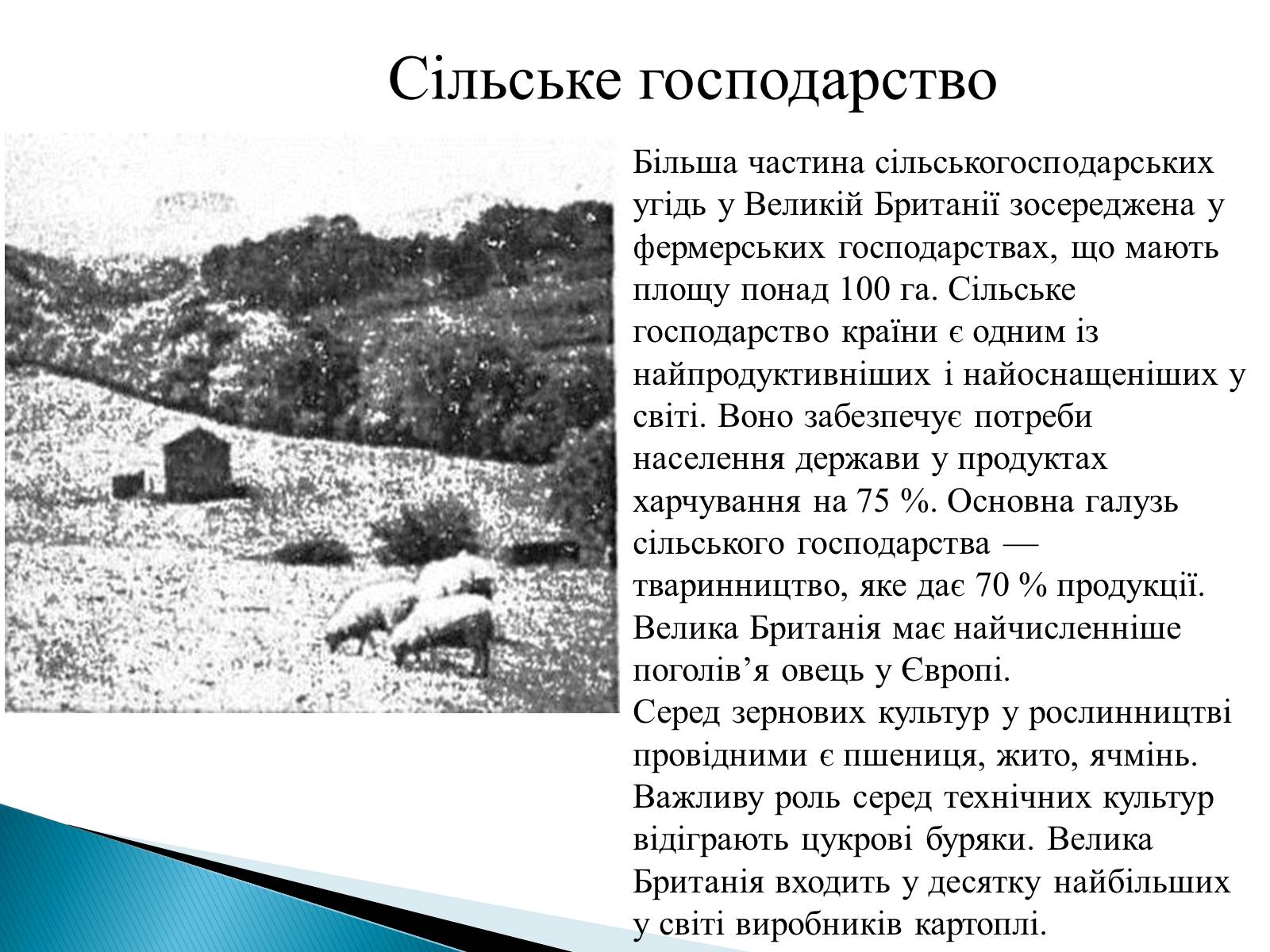 Презентація на тему «Велика Британія» (варіант 22) - Слайд #7 Презентація на тему «Велика Британія» (варіант 22) - Слайд #7