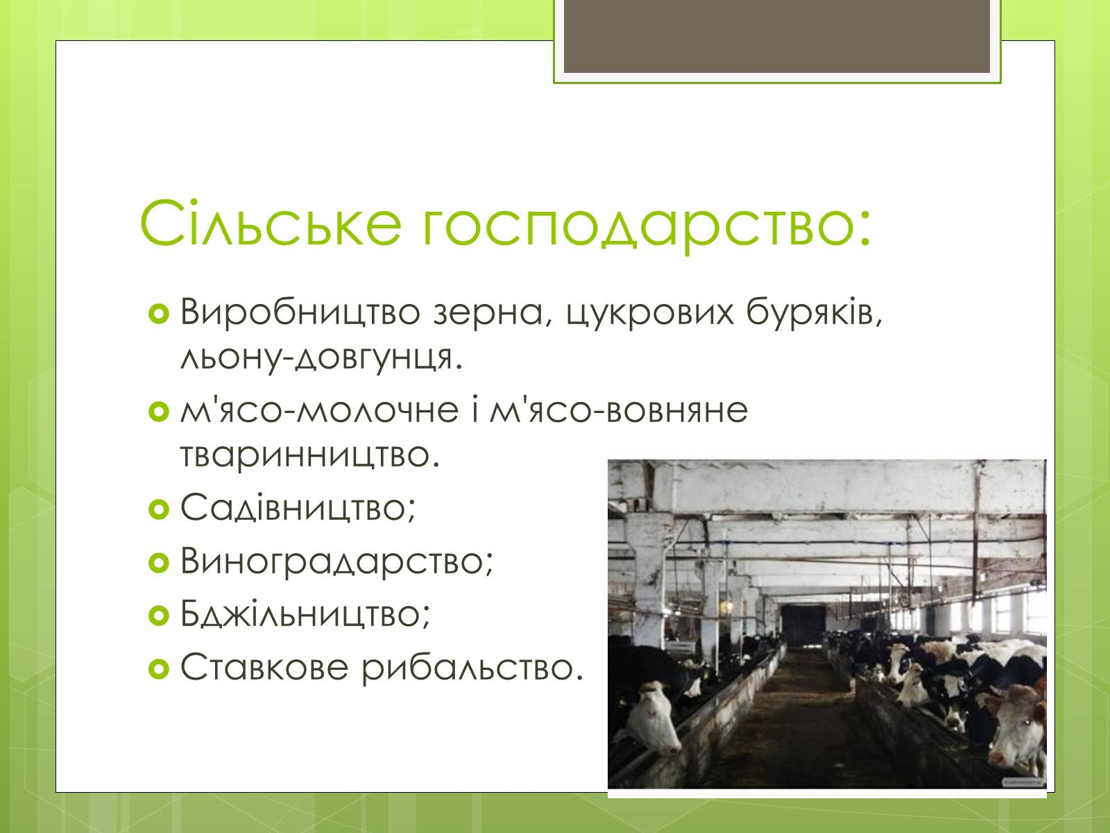 Презентація на тему «Карпатський економічний район» (варіант 4) - Слайд #34 Презентація на тему «Карпатський економічний район» (варіант 4) - Слайд #34