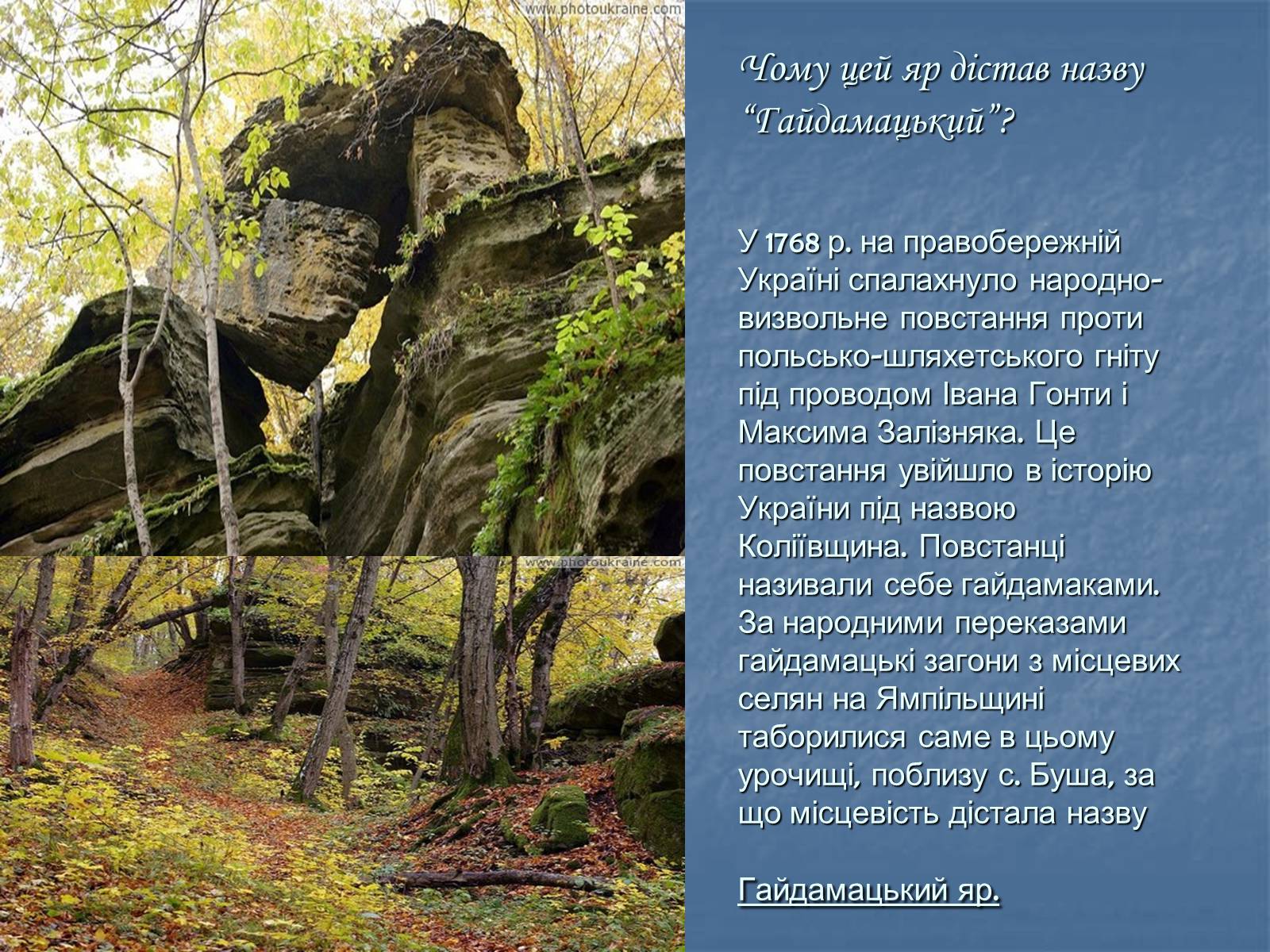 Презентація на тему «Сучасна Буша» - Слайд #8 Презентація на тему «Сучасна Буша» - Слайд #8