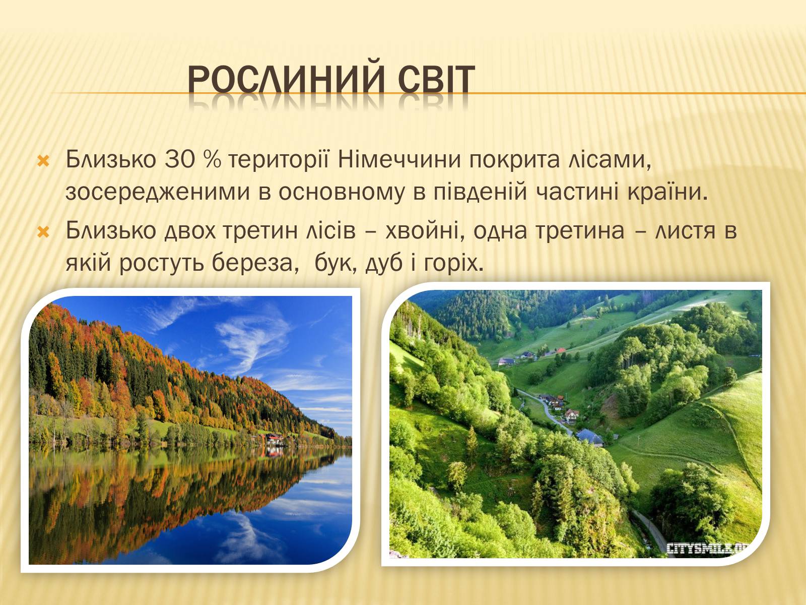 Презентація на тему «Федеративна Республіка Німеччина» (варіант 11) - Слайд #6 Презентація на тему «Федеративна Республіка Німеччина» (варіант 11) - Слайд #6