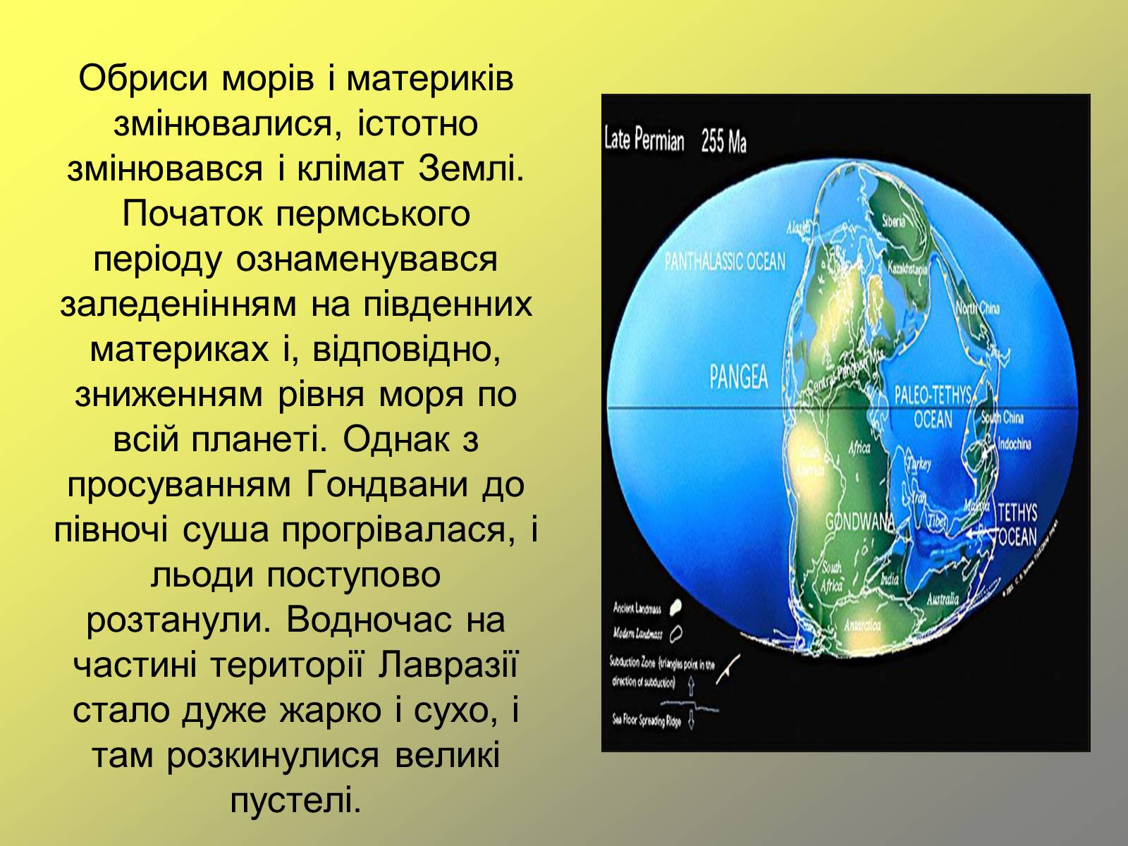 Презентація на тему «Пермський період» - Слайд #3 Презентація на тему «Пермський період» - Слайд #3