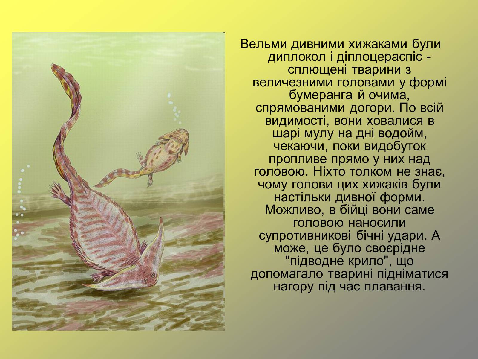 Презентація на тему «Пермський період» - Слайд #8 Презентація на тему «Пермський період» - Слайд #8