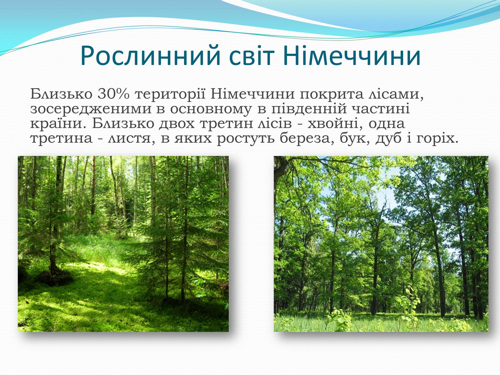Презентація на тему «Федеративна Республіка Німеччина» (варіант 6) - Слайд #11 Презентація на тему «Федеративна Республіка Німеччина» (варіант 6) - Слайд #11