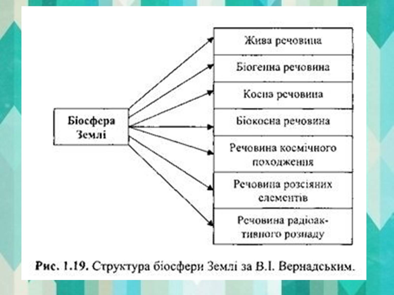 Презентація на тему «Вклад в екологію В.І. Вернадського та його випередження часу» - Слайд #5 Презентація на тему «Вклад в екологію В.І. Вернадського та його випередження часу» - Слайд #5