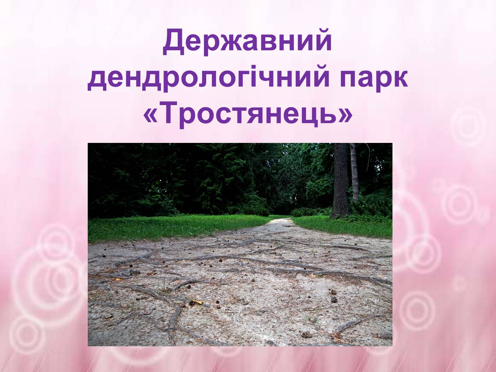 Презентація на тему «Державний дендрологічний парк «Тростянець»» - Слайд #1 Презентація на тему «Державний дендрологічний парк «Тростянець»» - Слайд #1