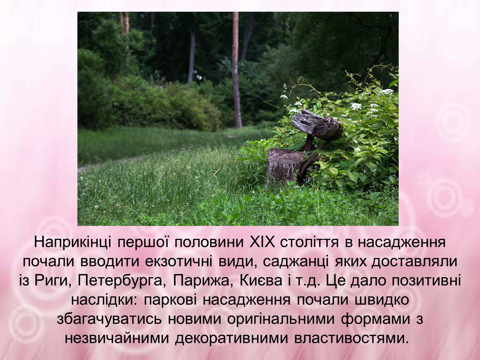 Презентація на тему «Державний дендрологічний парк «Тростянець»» - Слайд #8 Презентація на тему «Державний дендрологічний парк «Тростянець»» - Слайд #8