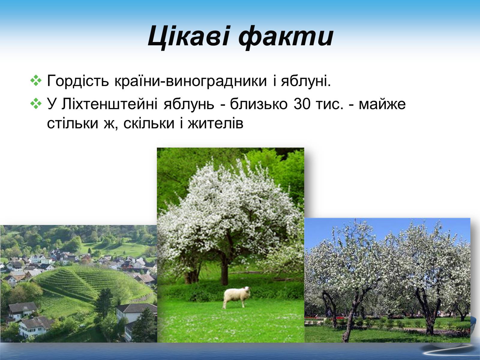 Презентація на тему «Ліхтенштейн» (варіант 1) - Слайд #17 Презентація на тему «Ліхтенштейн» (варіант 1) - Слайд #17