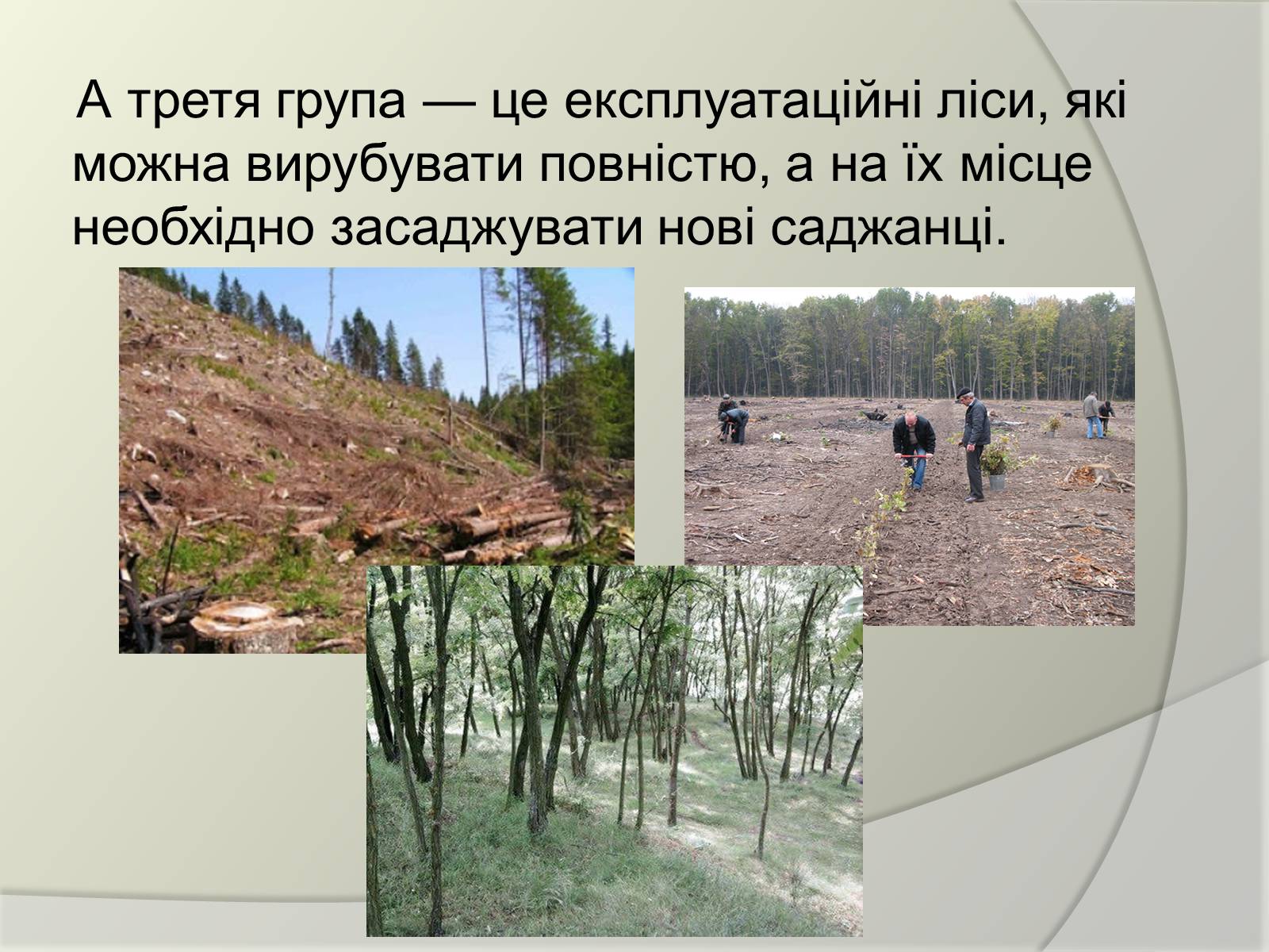 Презентація на тему «Екологічні проблеми людства» (варіант 2) - Слайд #10 Презентація на тему «Екологічні проблеми людства» (варіант 2) - Слайд #10