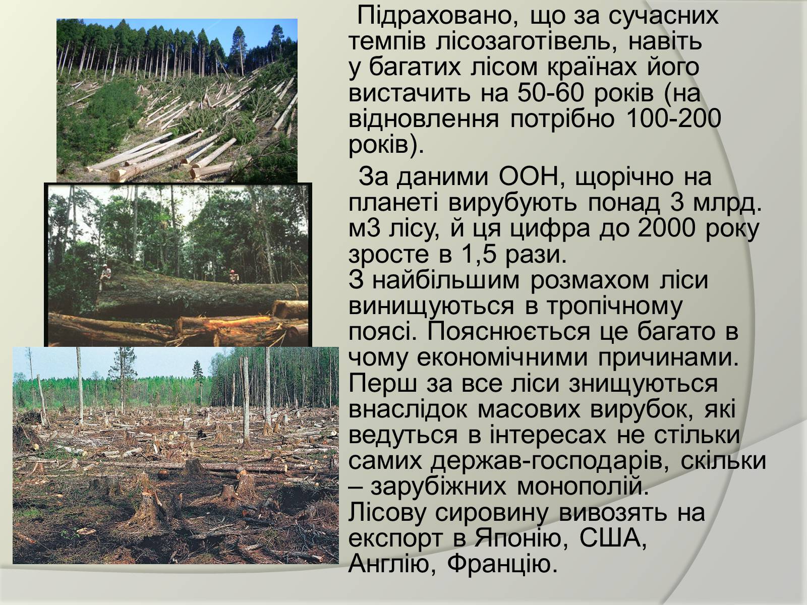 Презентація на тему «Екологічні проблеми людства» (варіант 2) - Слайд #4 Презентація на тему «Екологічні проблеми людства» (варіант 2) - Слайд #4