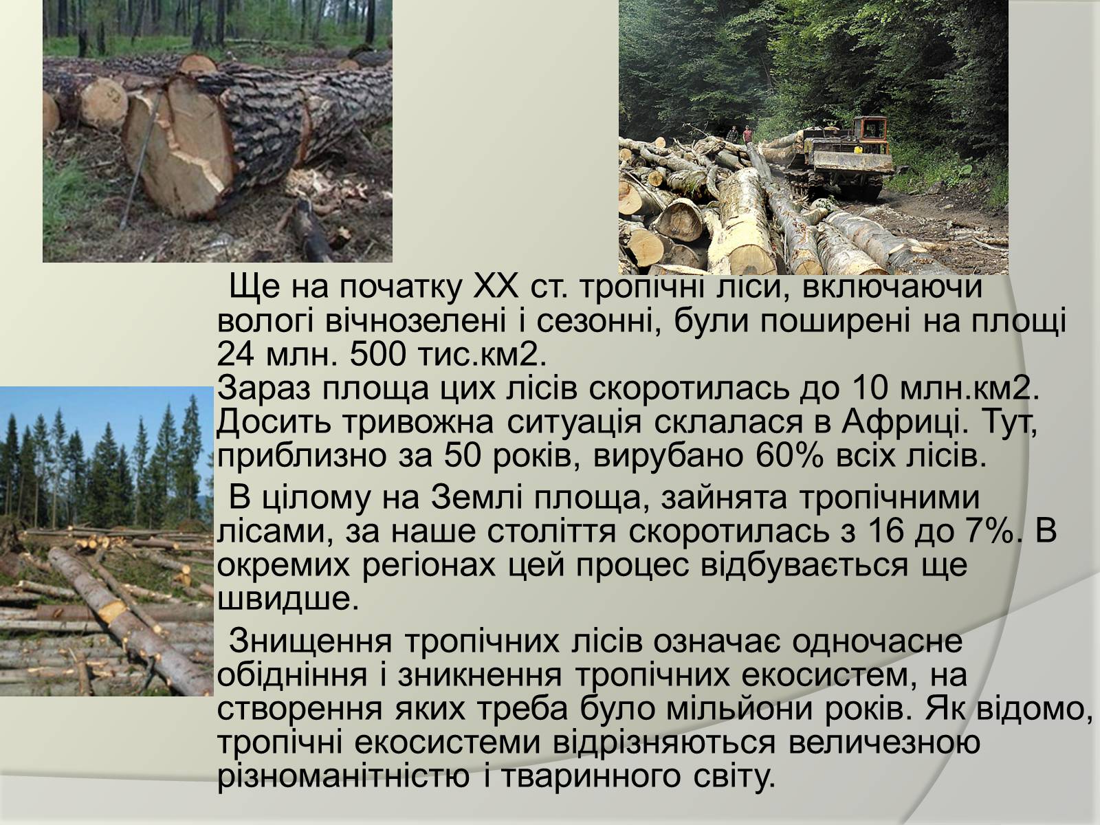 Презентація на тему «Екологічні проблеми людства» (варіант 2) - Слайд #5 Презентація на тему «Екологічні проблеми людства» (варіант 2) - Слайд #5