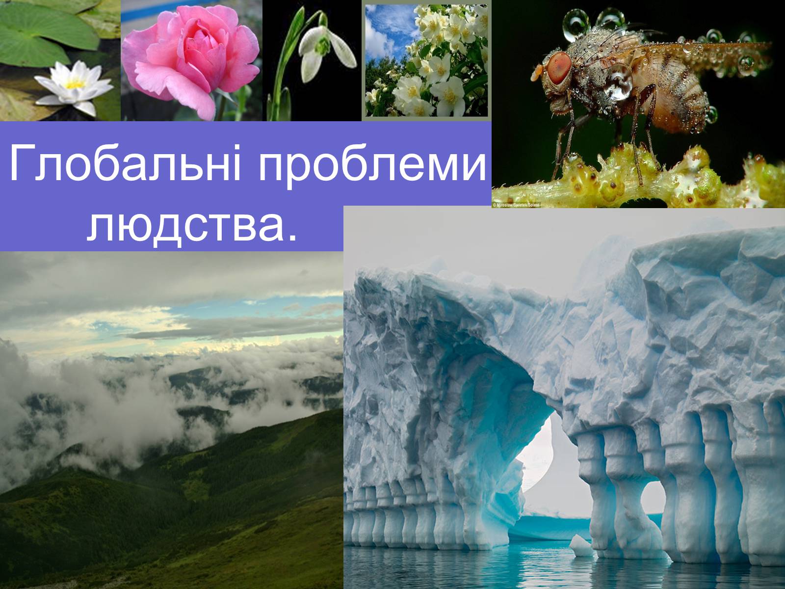Презентація на тему «Глобальні проблеми людства» (варіант 1) - Слайд #1 Презентація на тему «Глобальні проблеми людства» (варіант 1) - Слайд #1