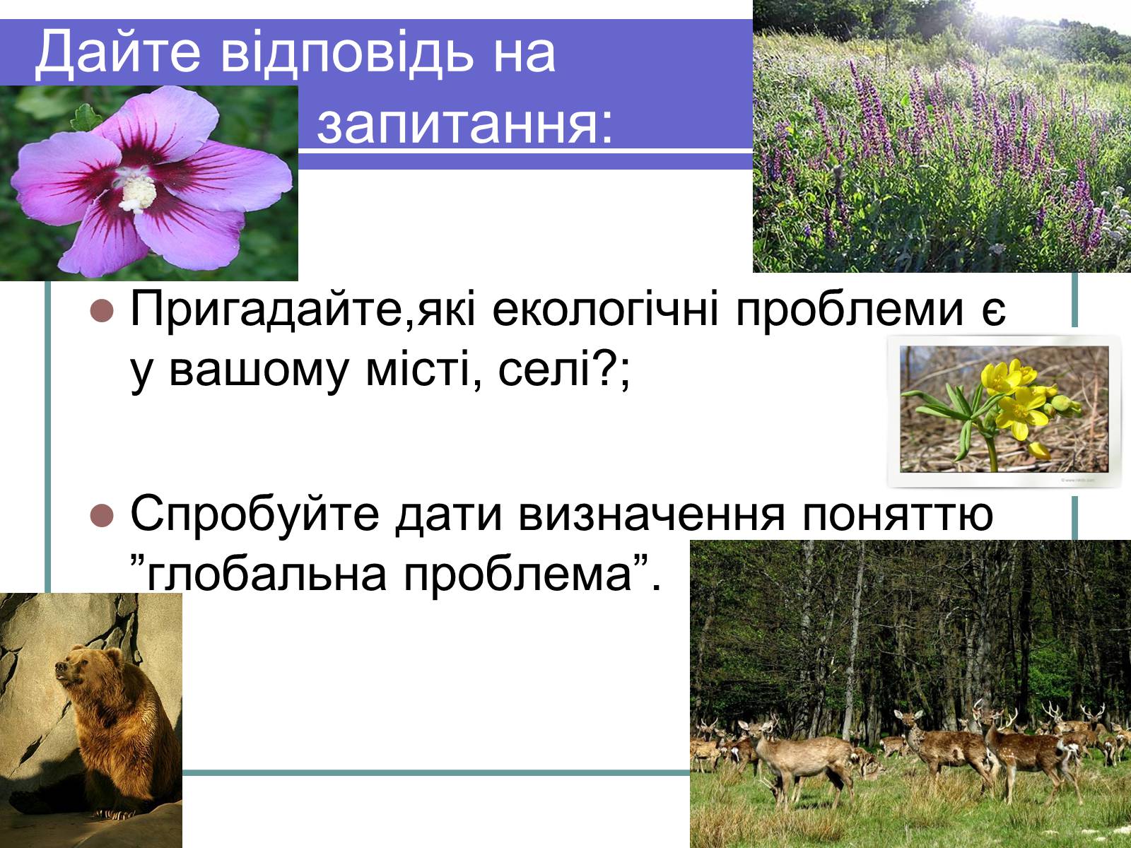 Презентація на тему «Глобальні проблеми людства» (варіант 1) - Слайд #4 Презентація на тему «Глобальні проблеми людства» (варіант 1) - Слайд #4